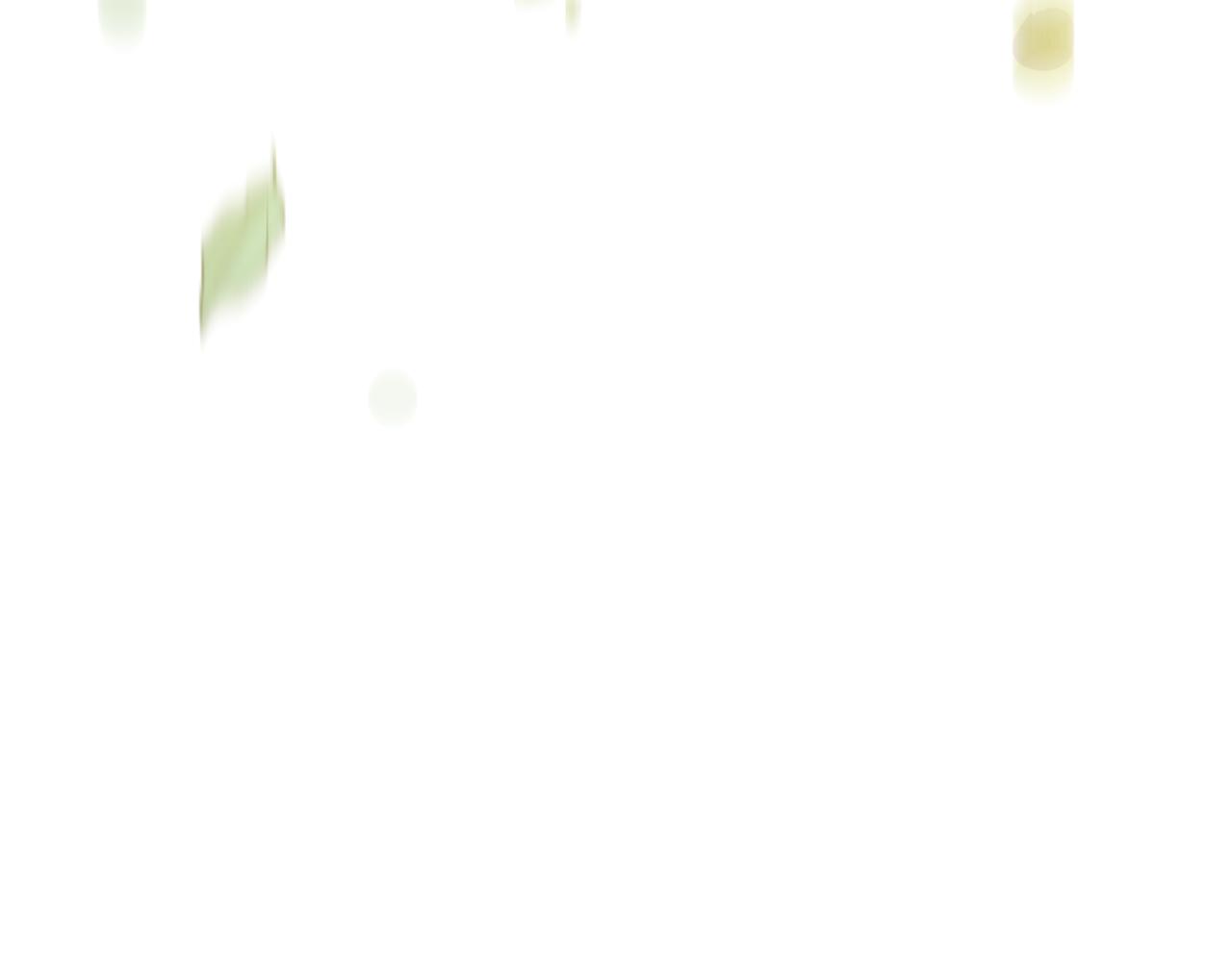 第 266 页
