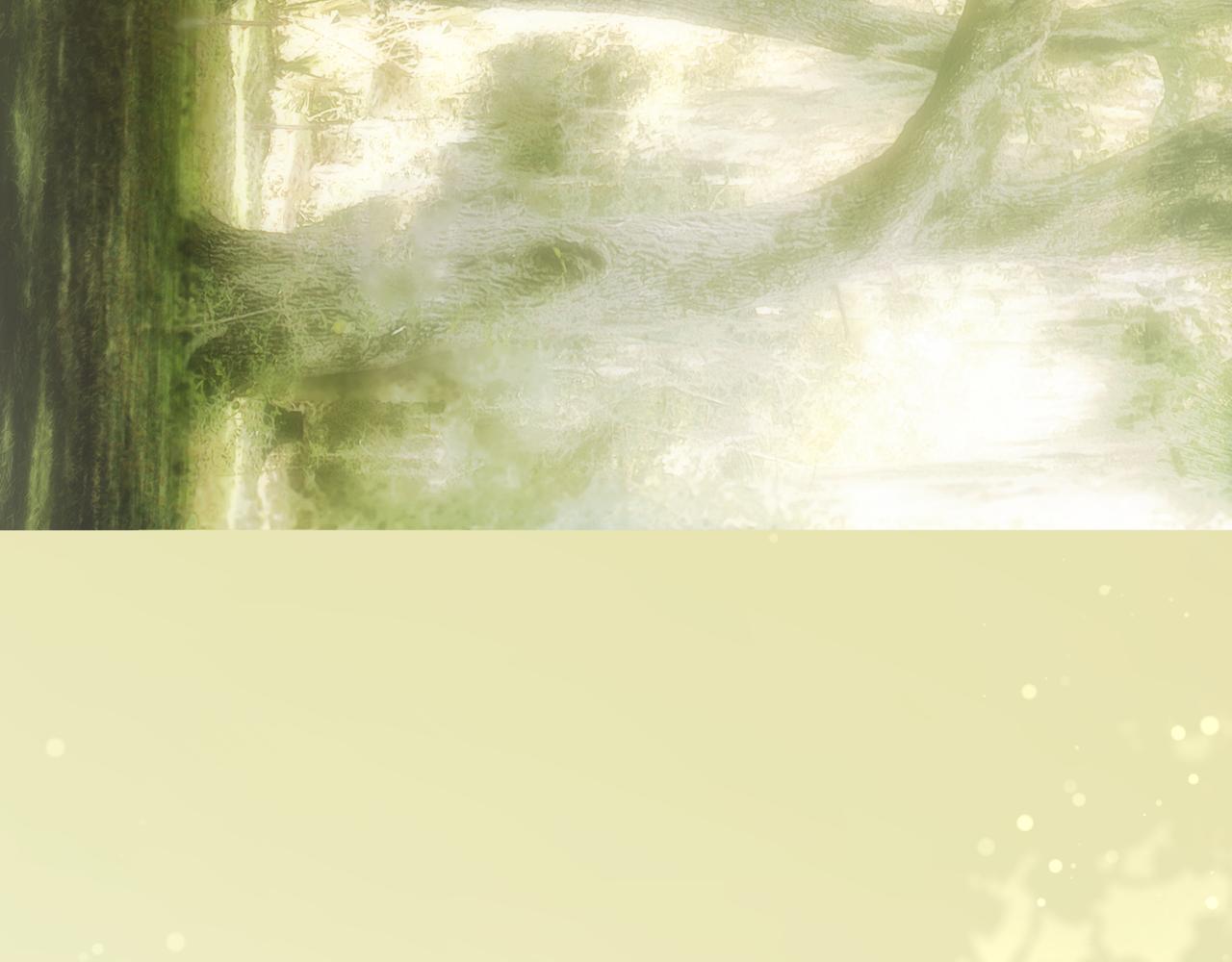 第 342 页