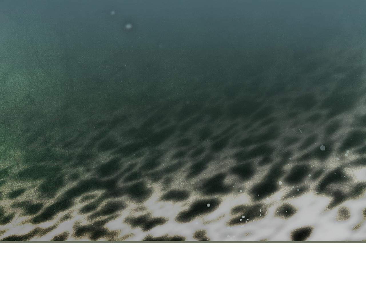 第 152 页