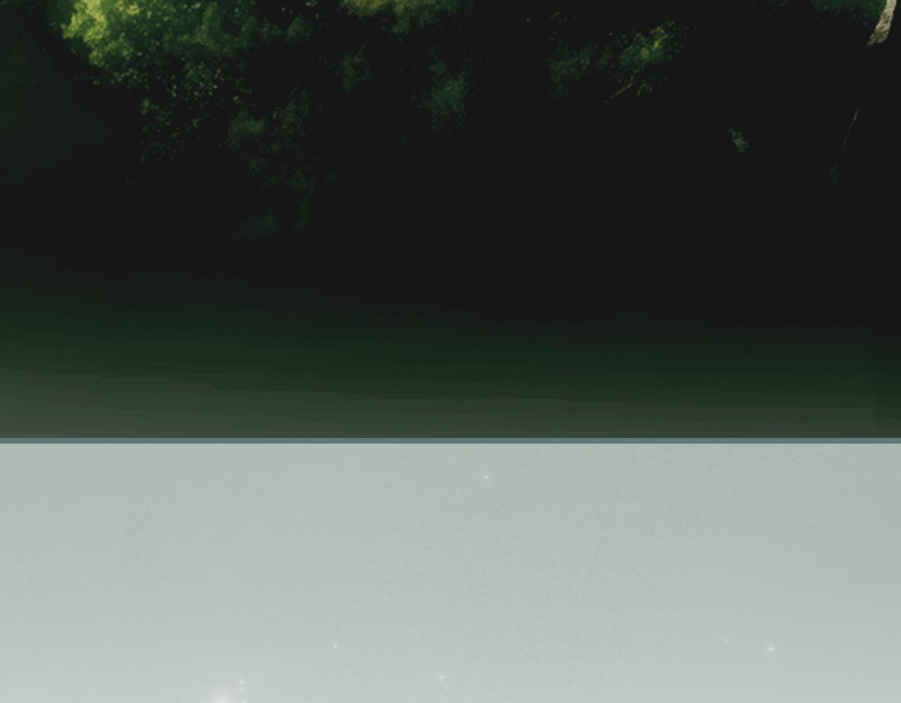 第 207 页