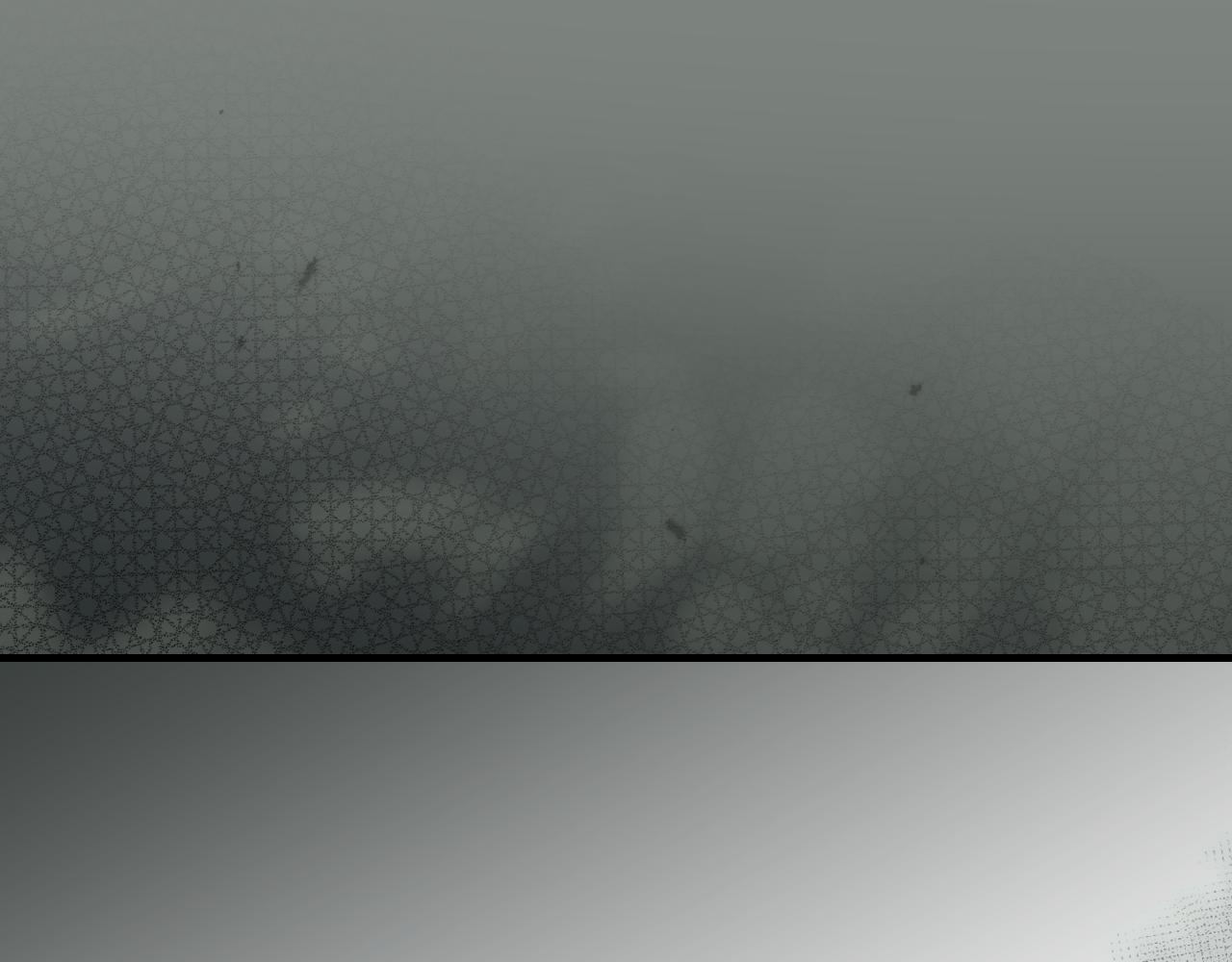 第 215 页