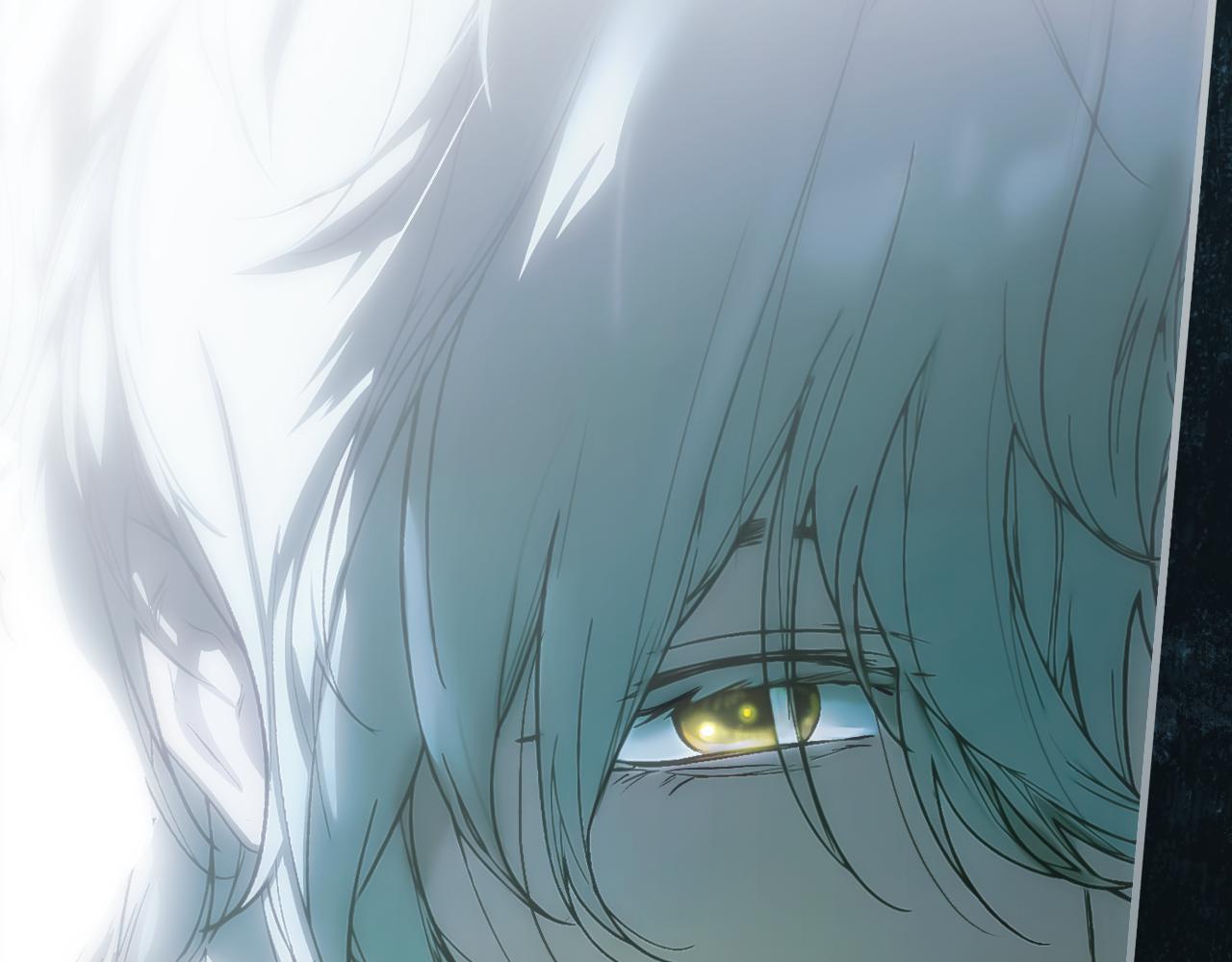 第 224 页