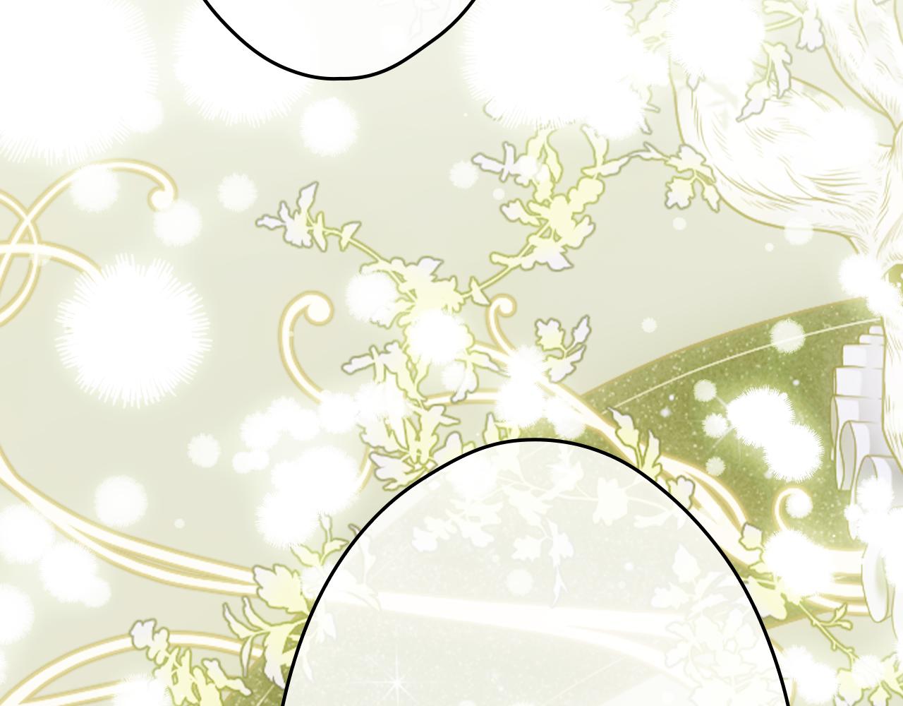 第 219 页