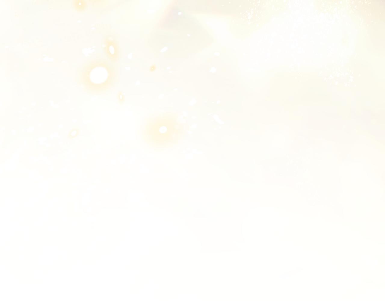 第 251 页