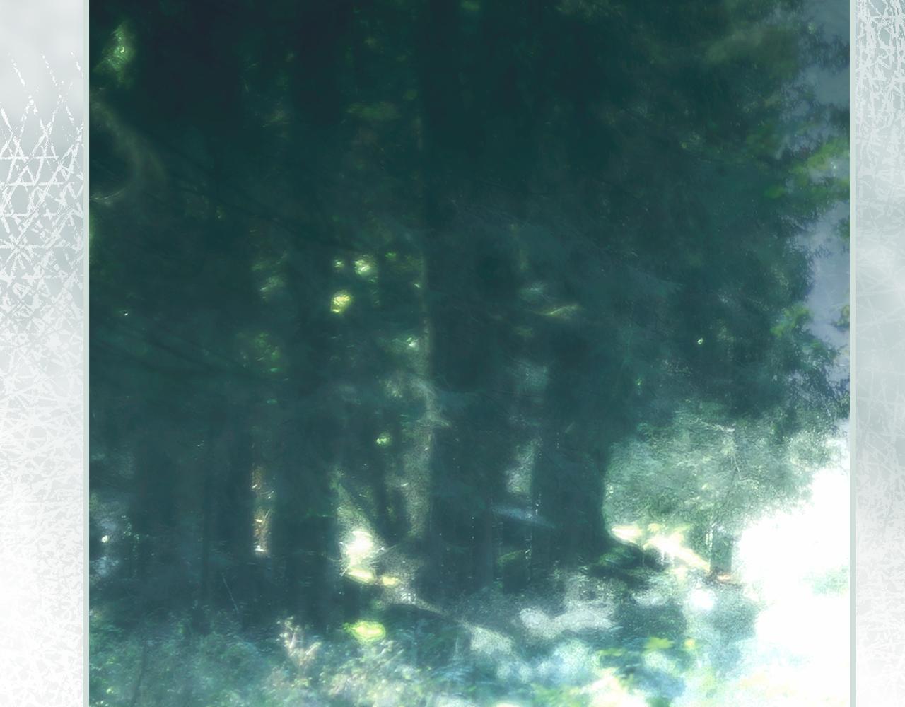 第 267 页