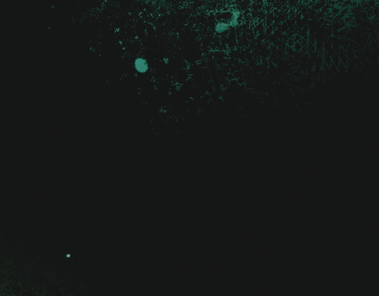 第 272 页