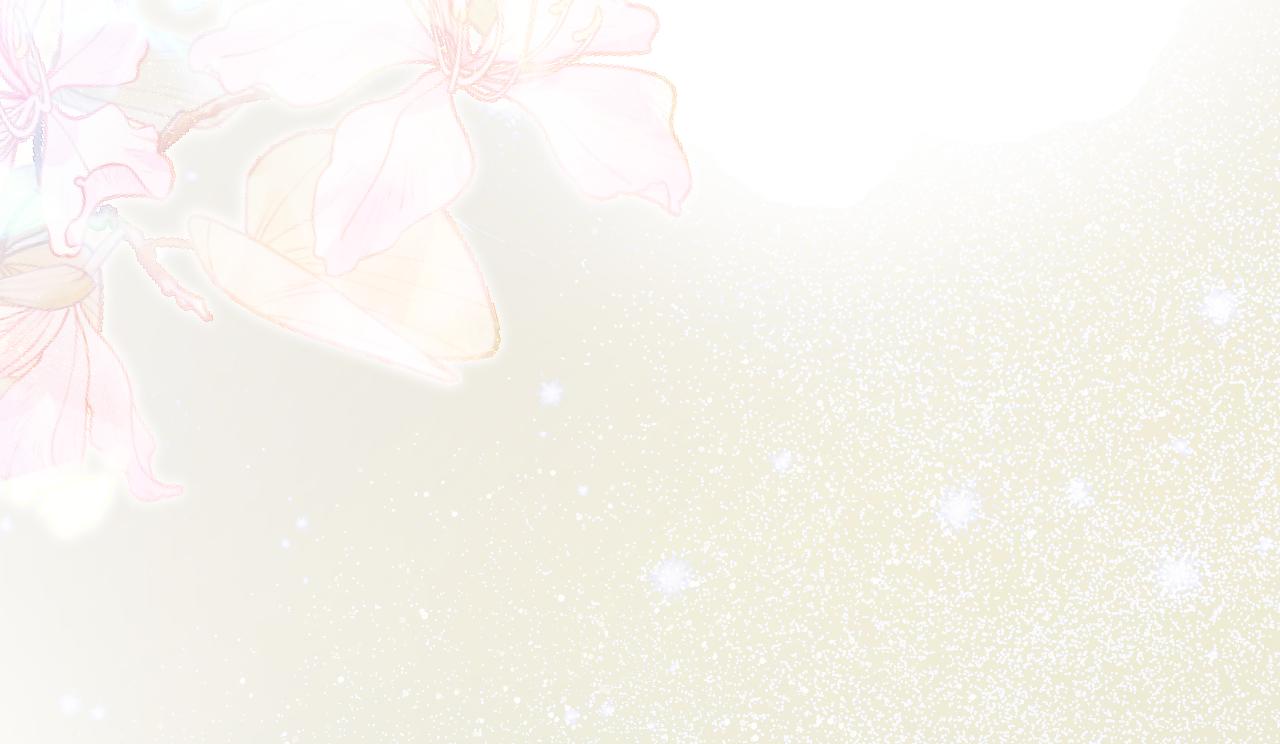 第 337 页