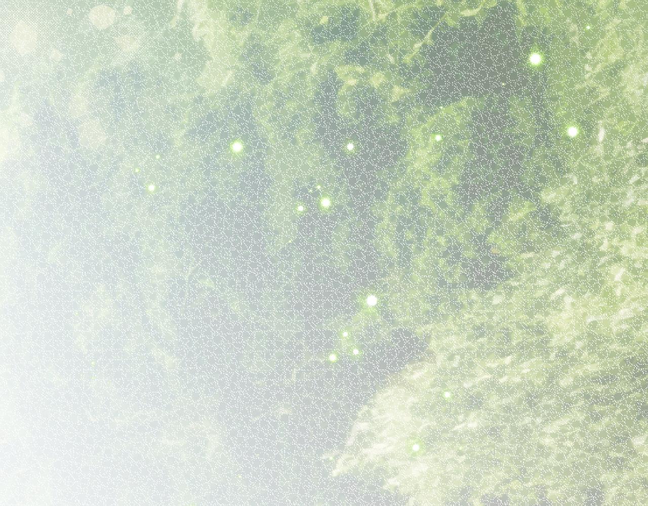 第 89 页