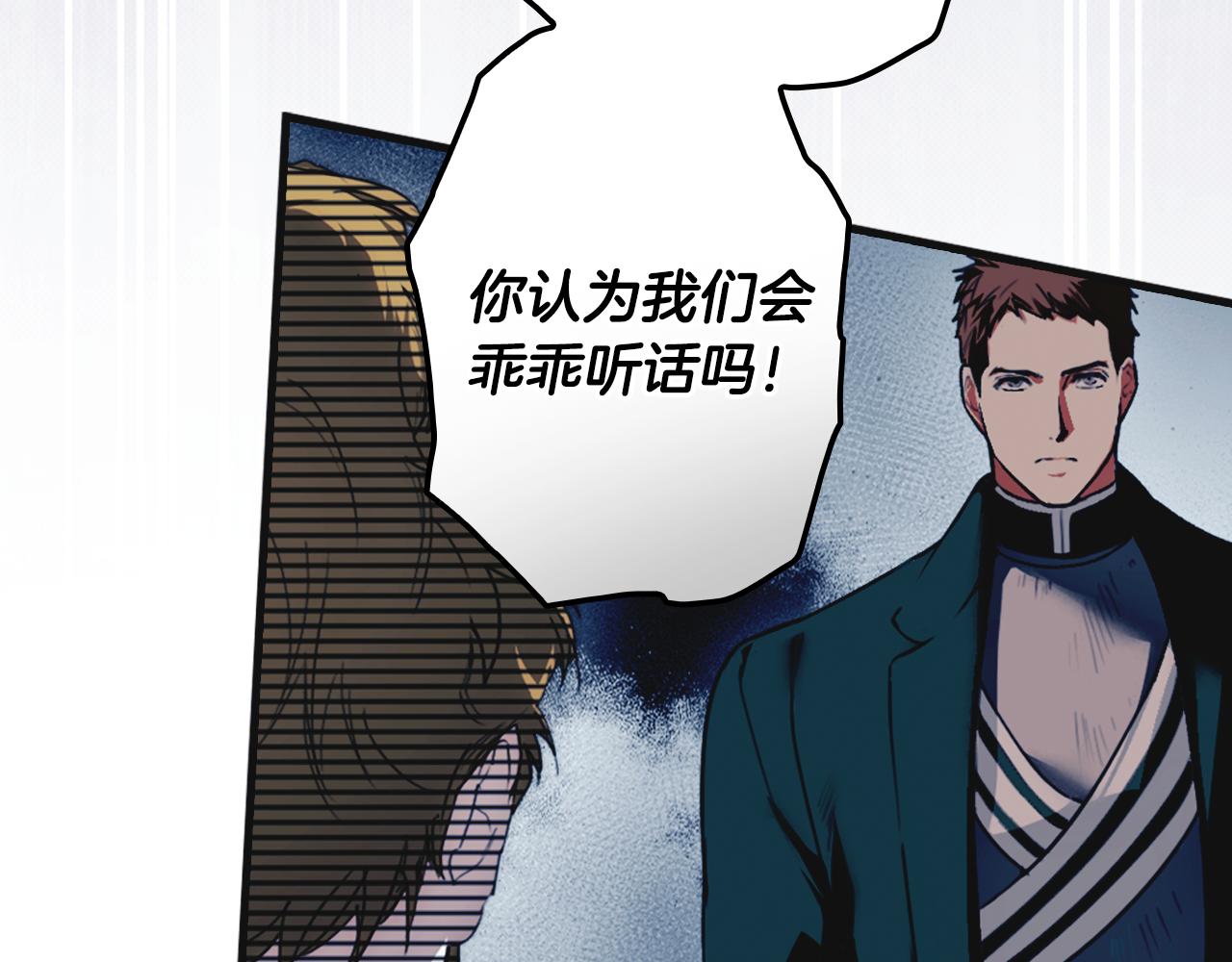 第 113 页