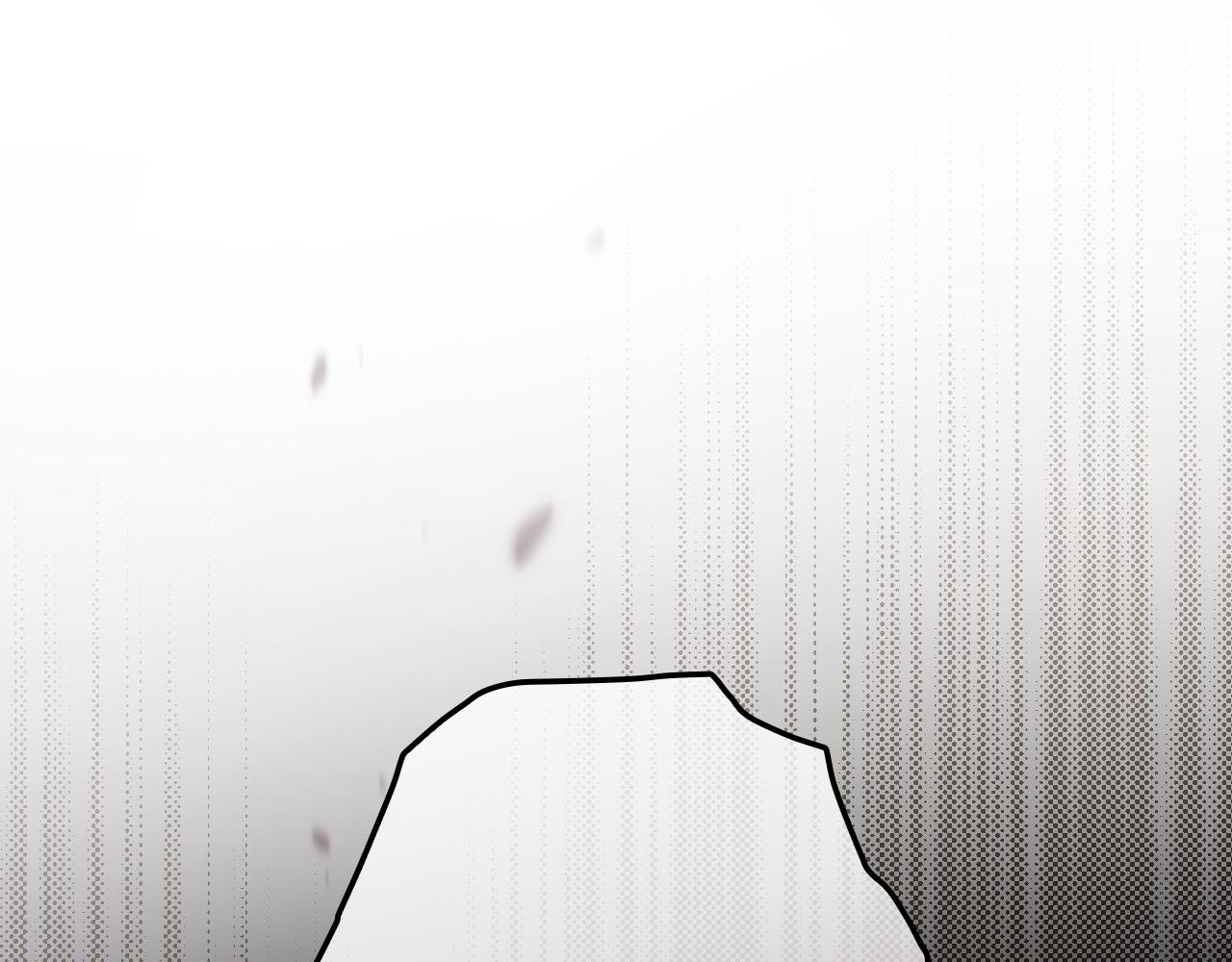 第 215 页