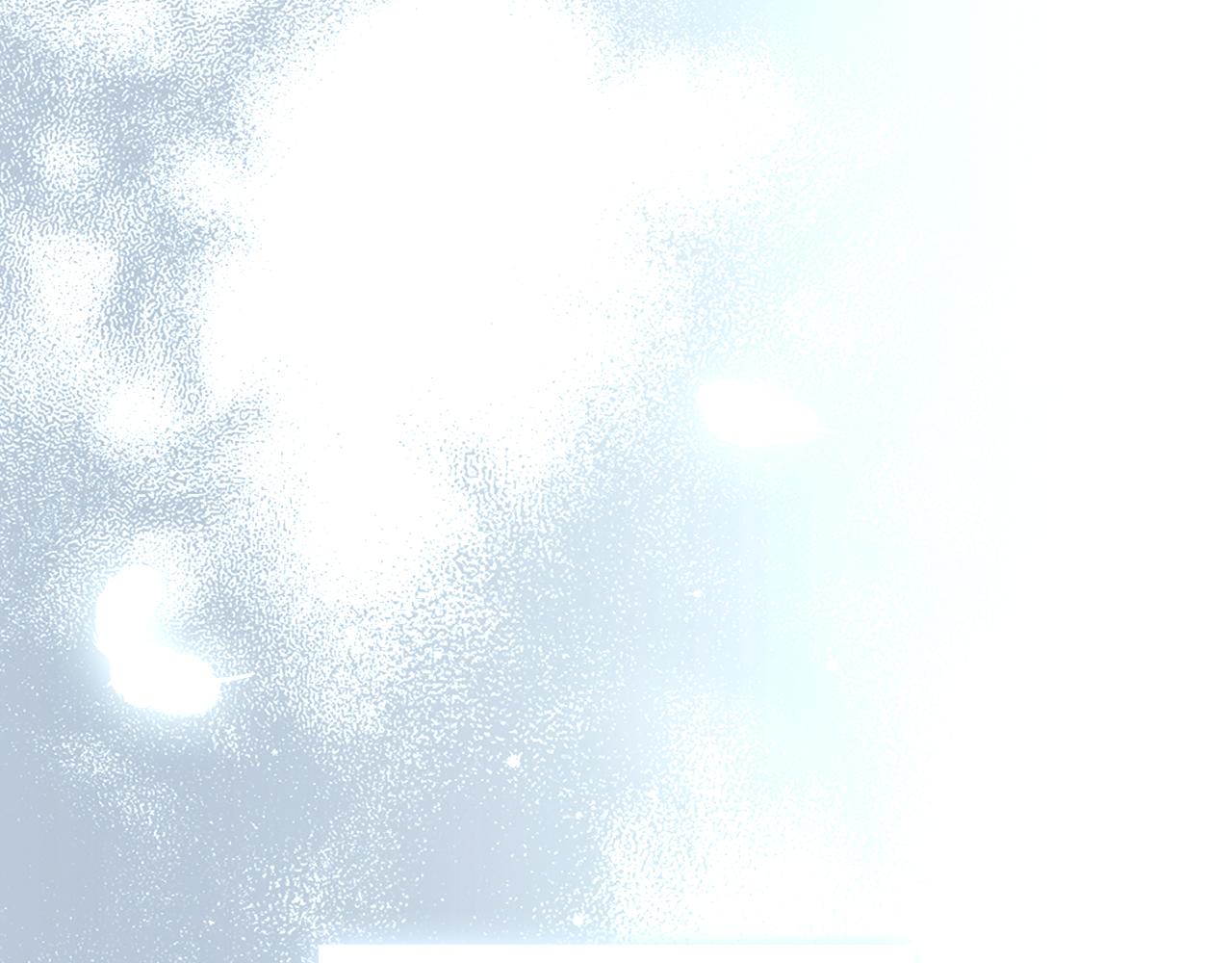 第 278 页