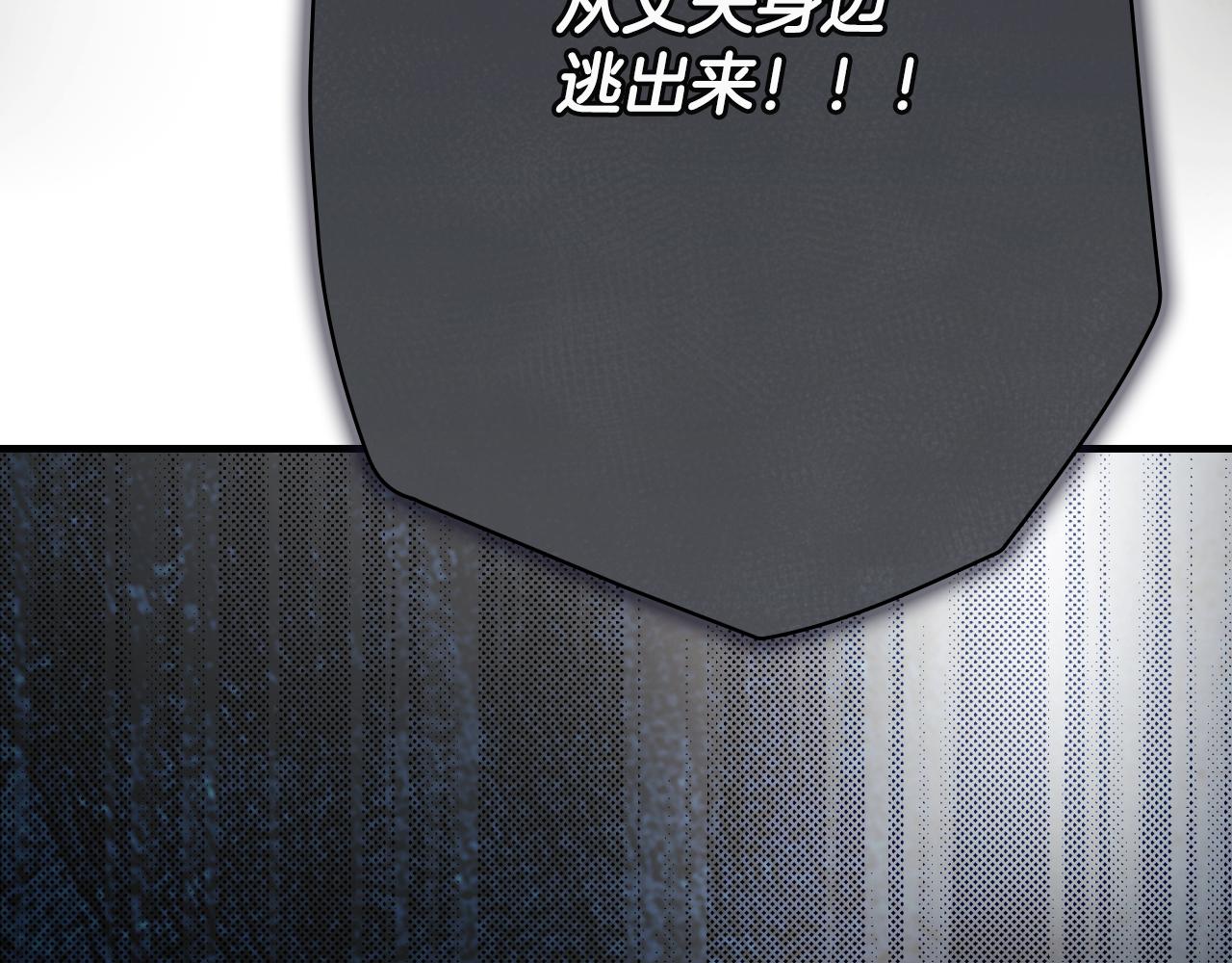 第 238 页