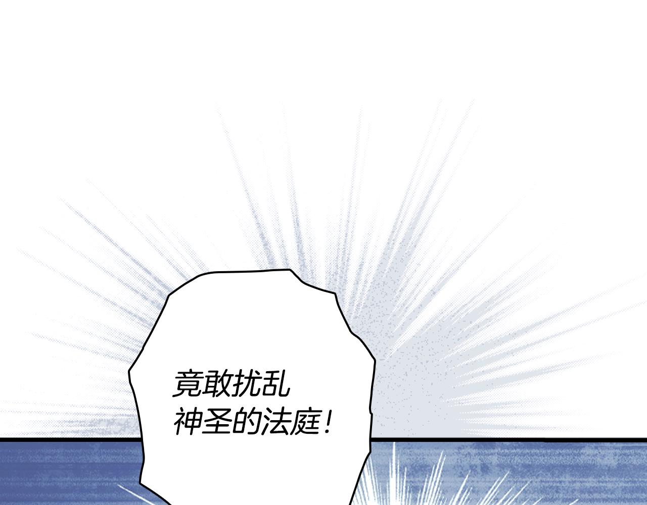 第 113 页