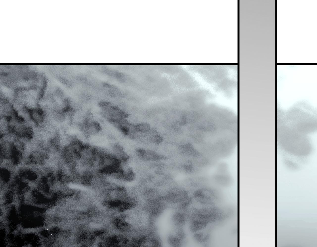 第 244 页