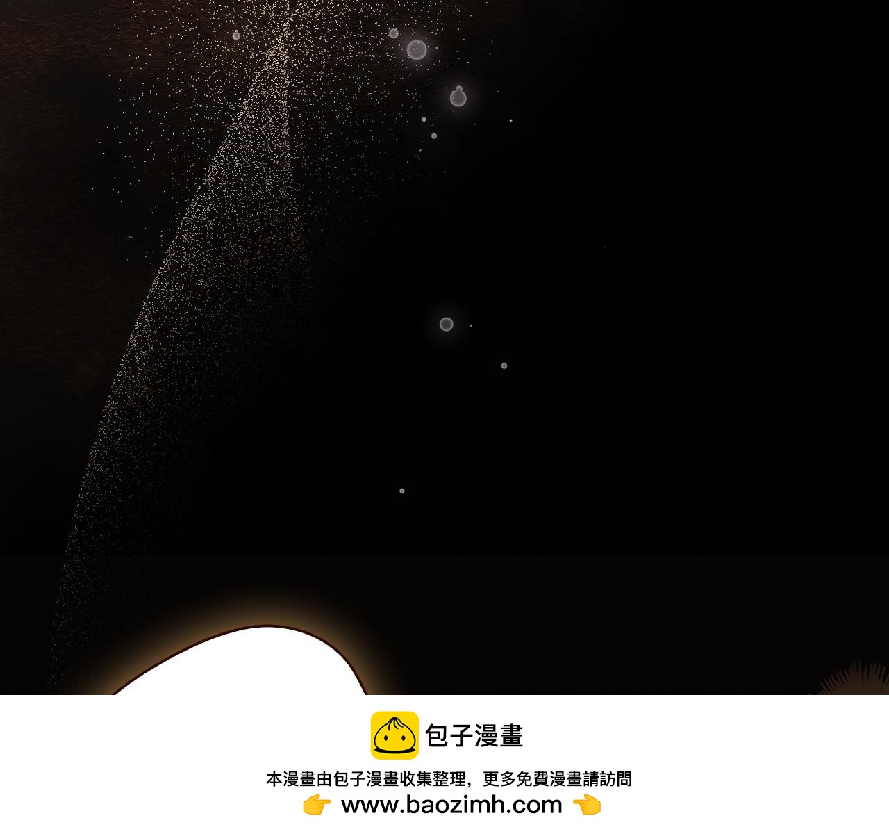 第 100 页