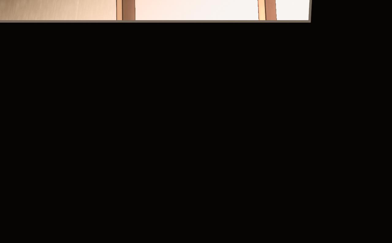第 171 页