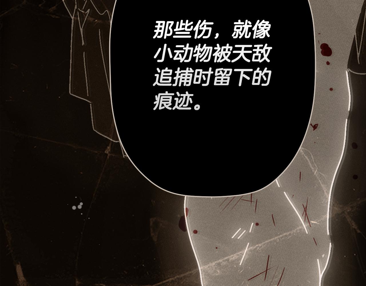 第 181 页