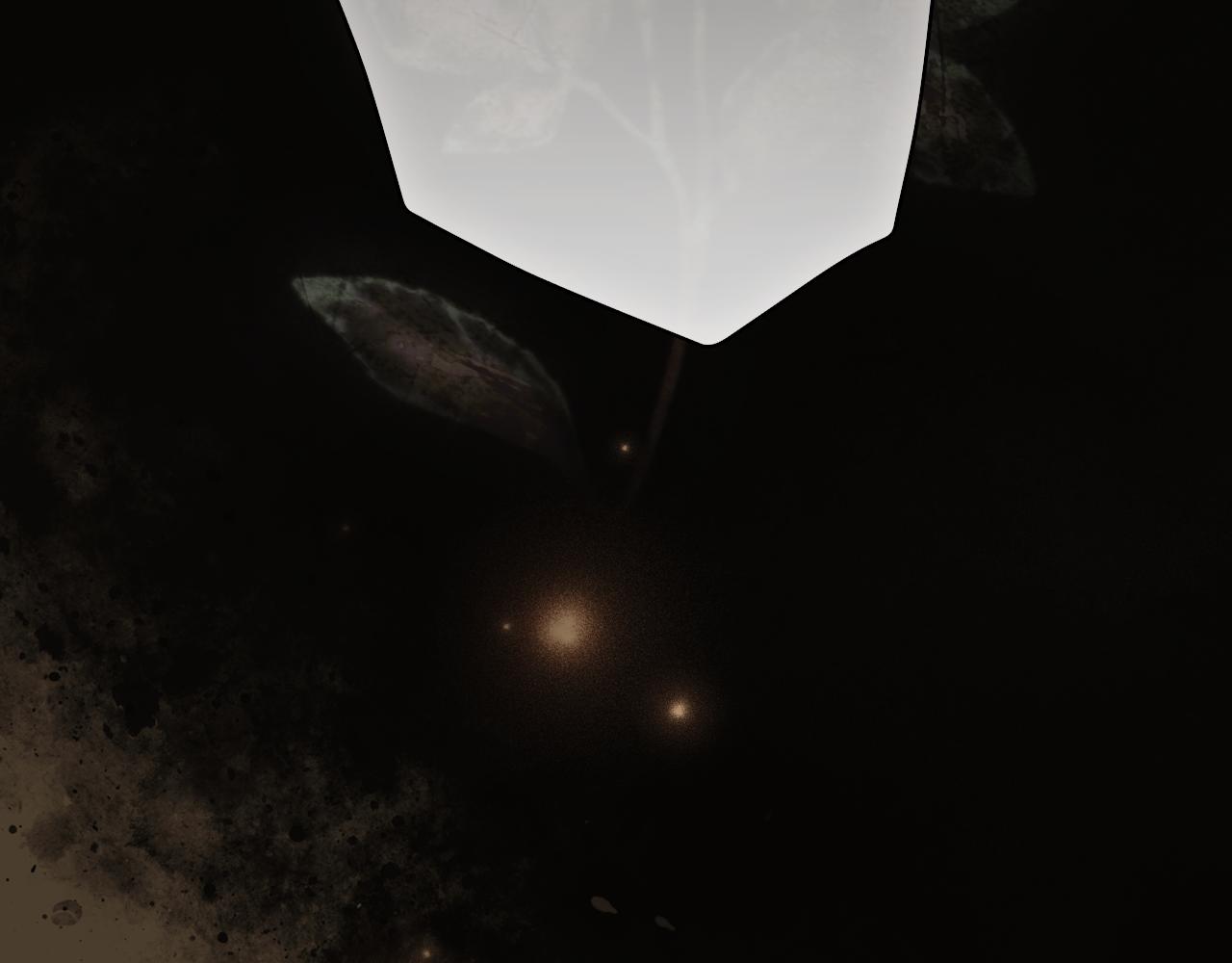 第 214 页