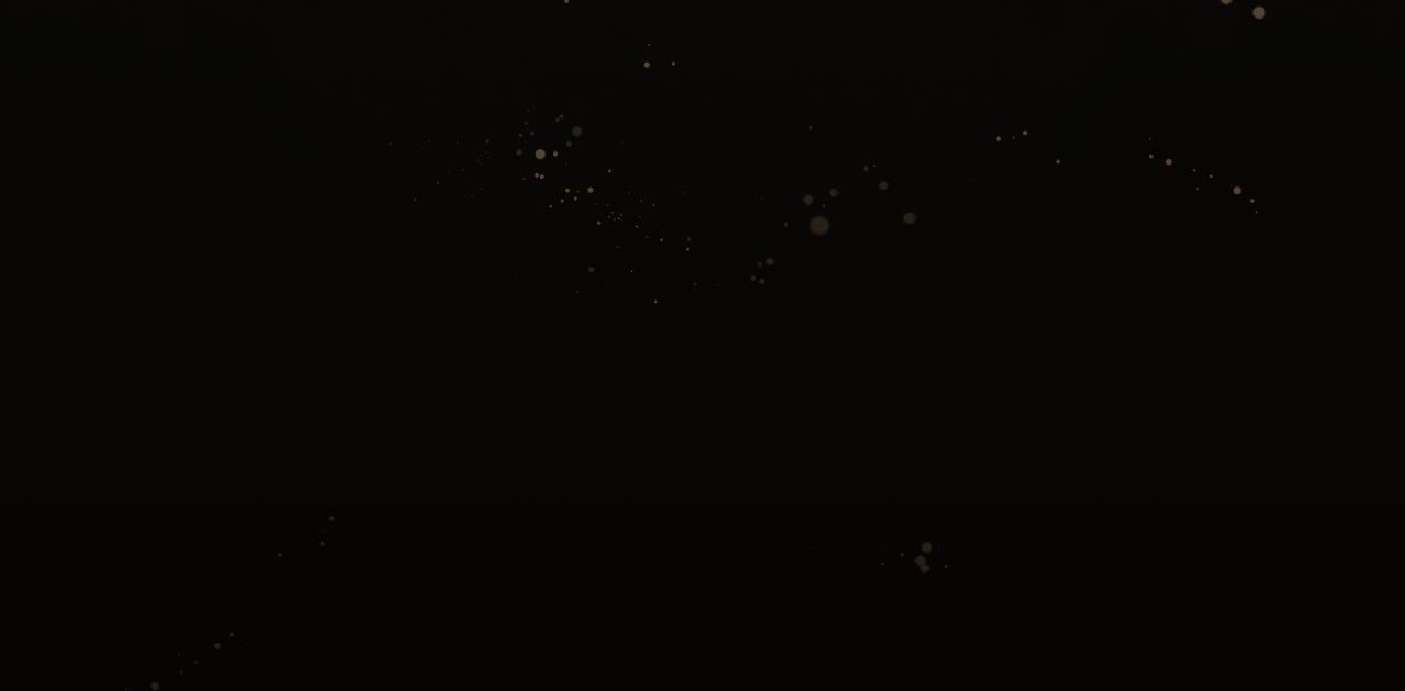 第 236 页