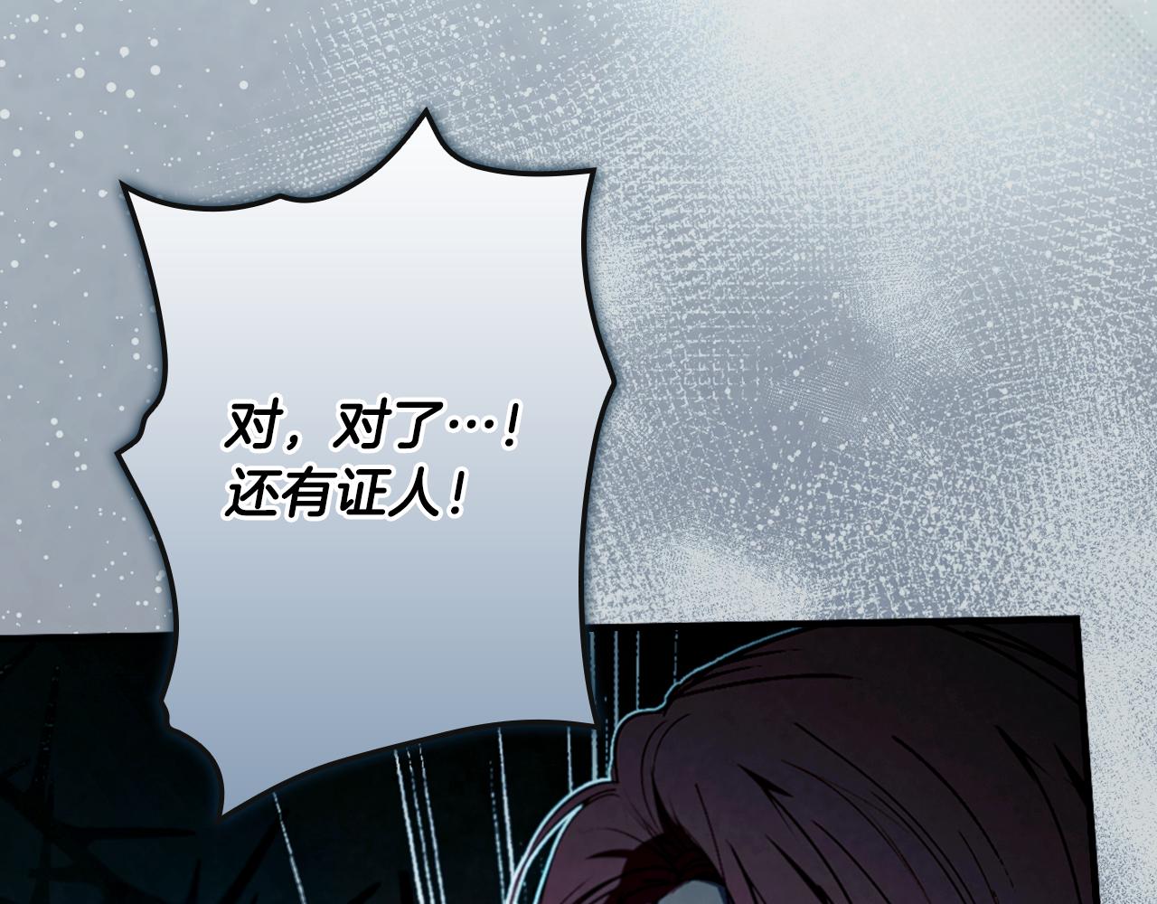 第 215 页