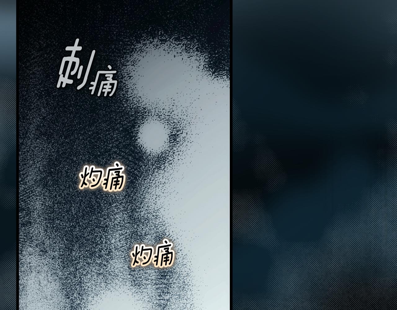 第 275 页