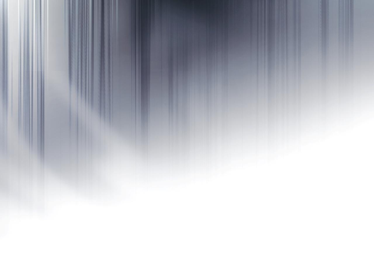 第 101 页