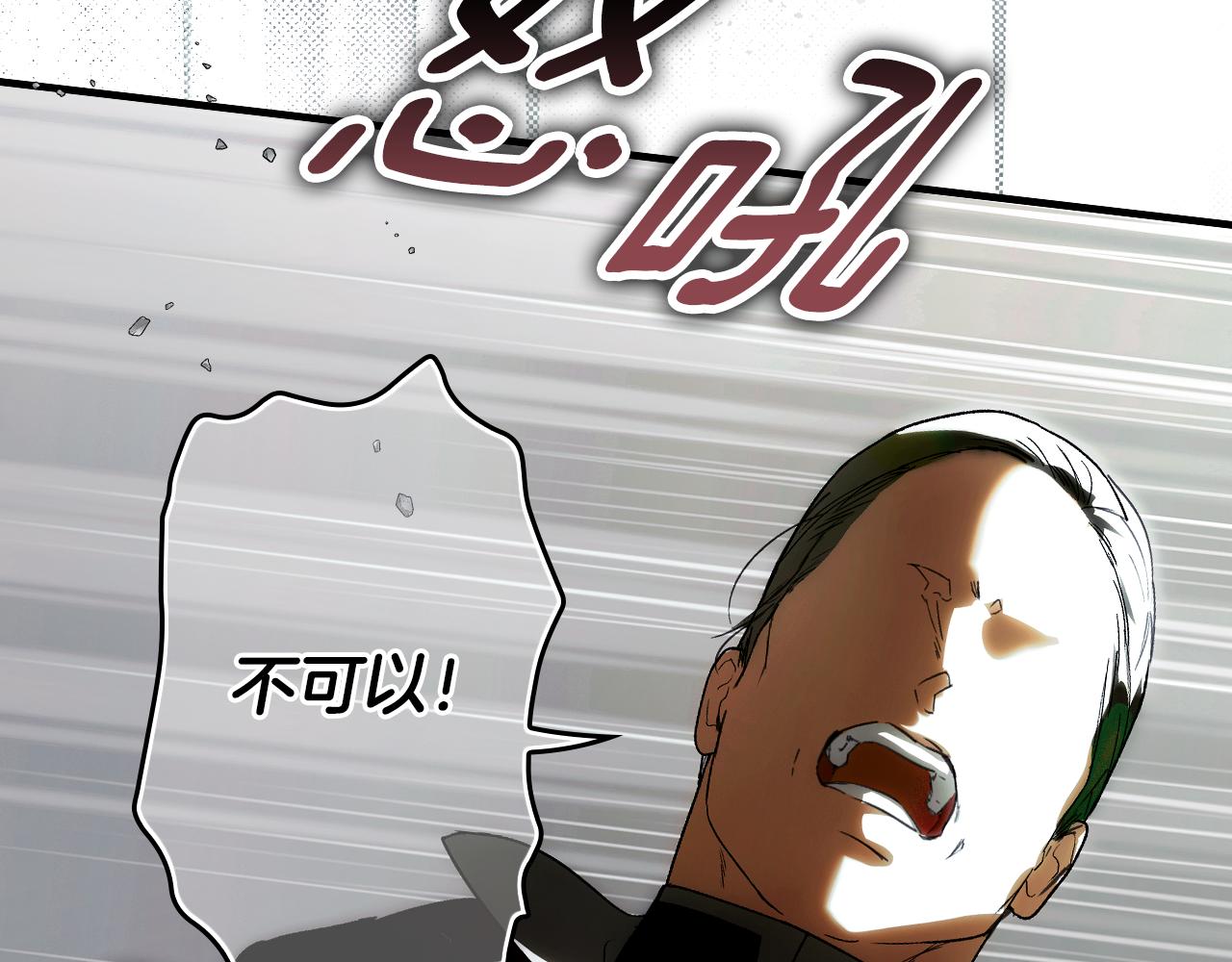 第 110 页