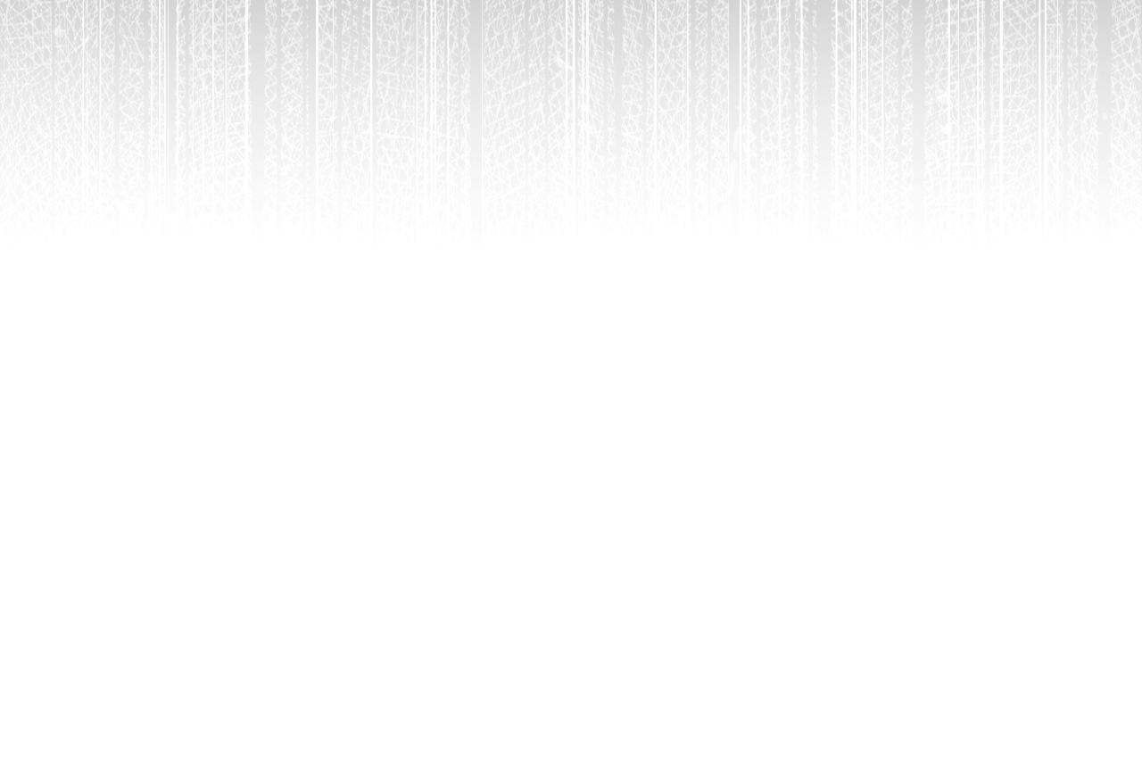 第 233 页