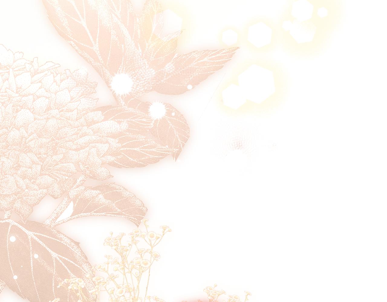 第 196 页