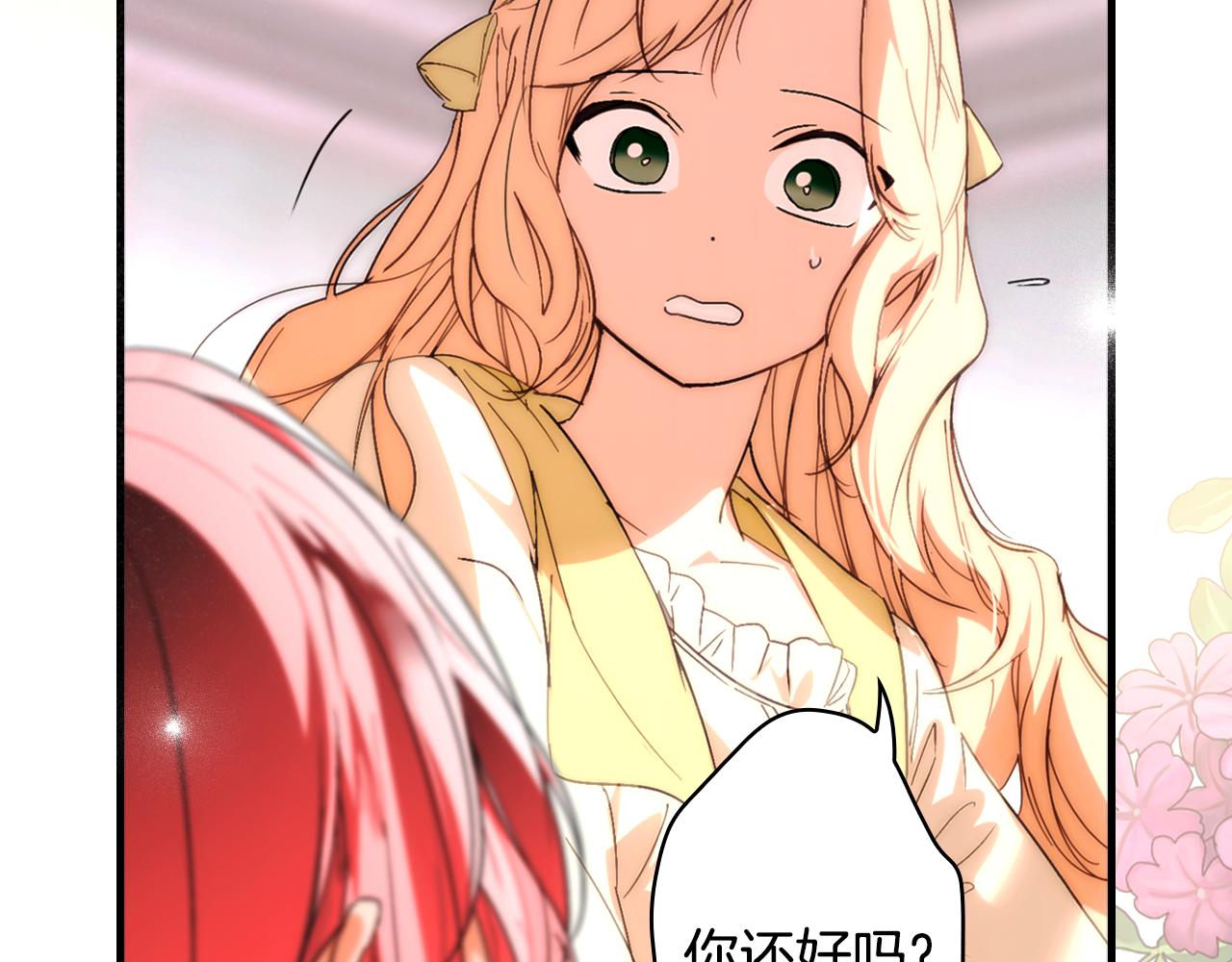 第 215 页