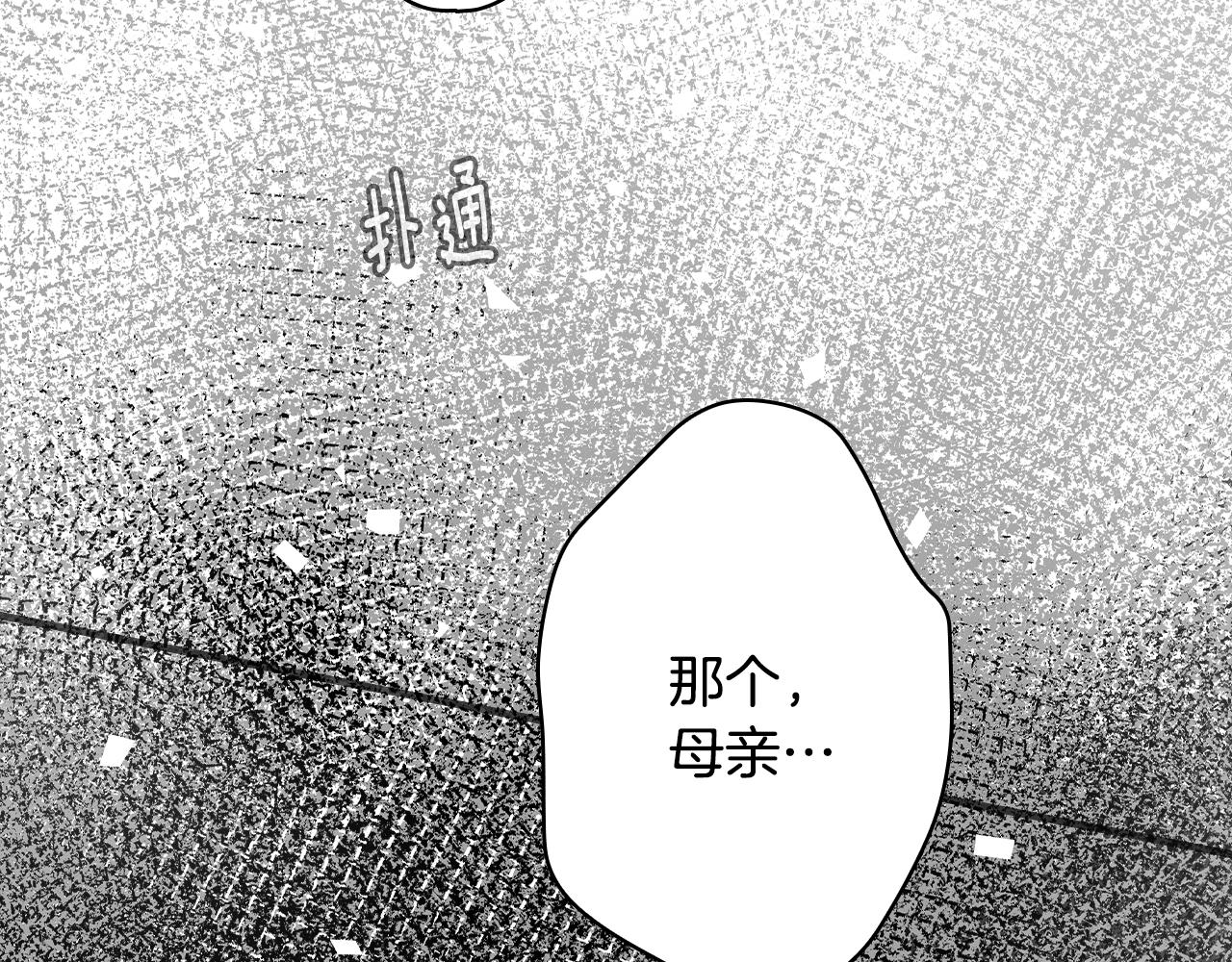 第 258 页