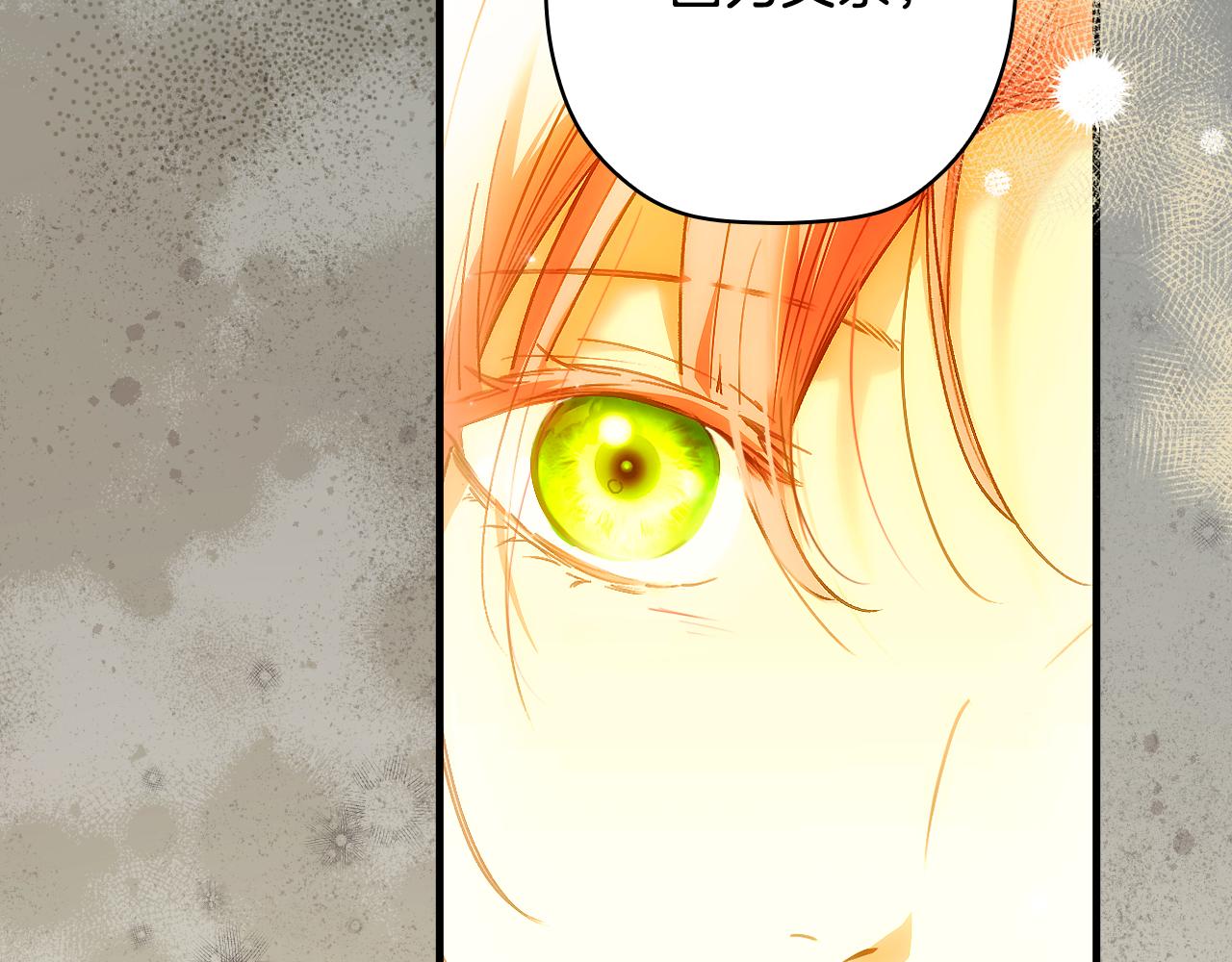 第 238 页