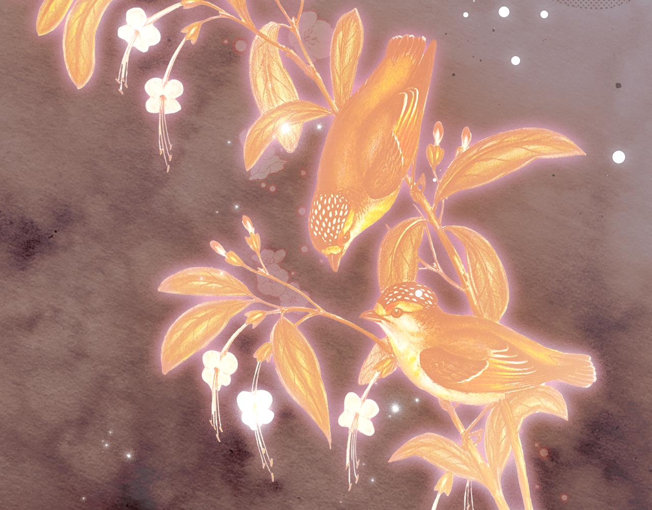 第 314 页
