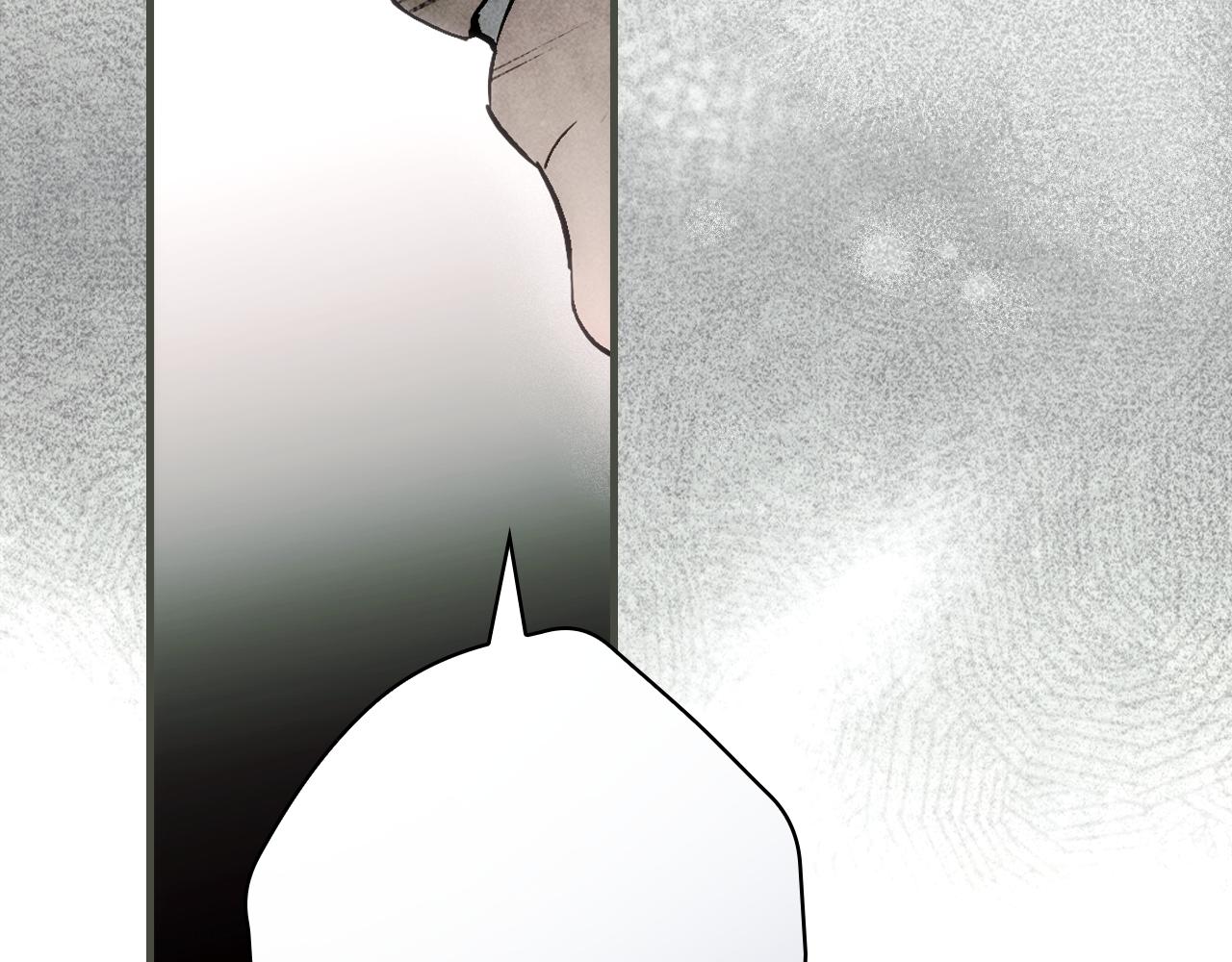 第 213 页