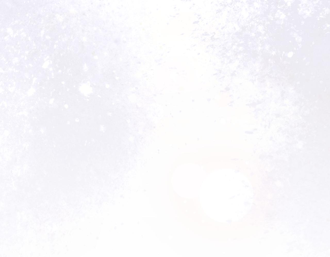 第 96 页