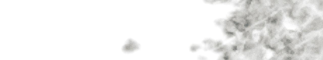 第 117 页