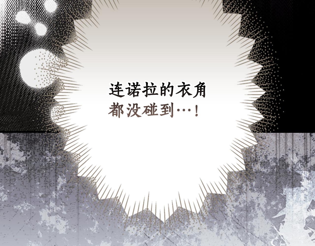 第 113 页