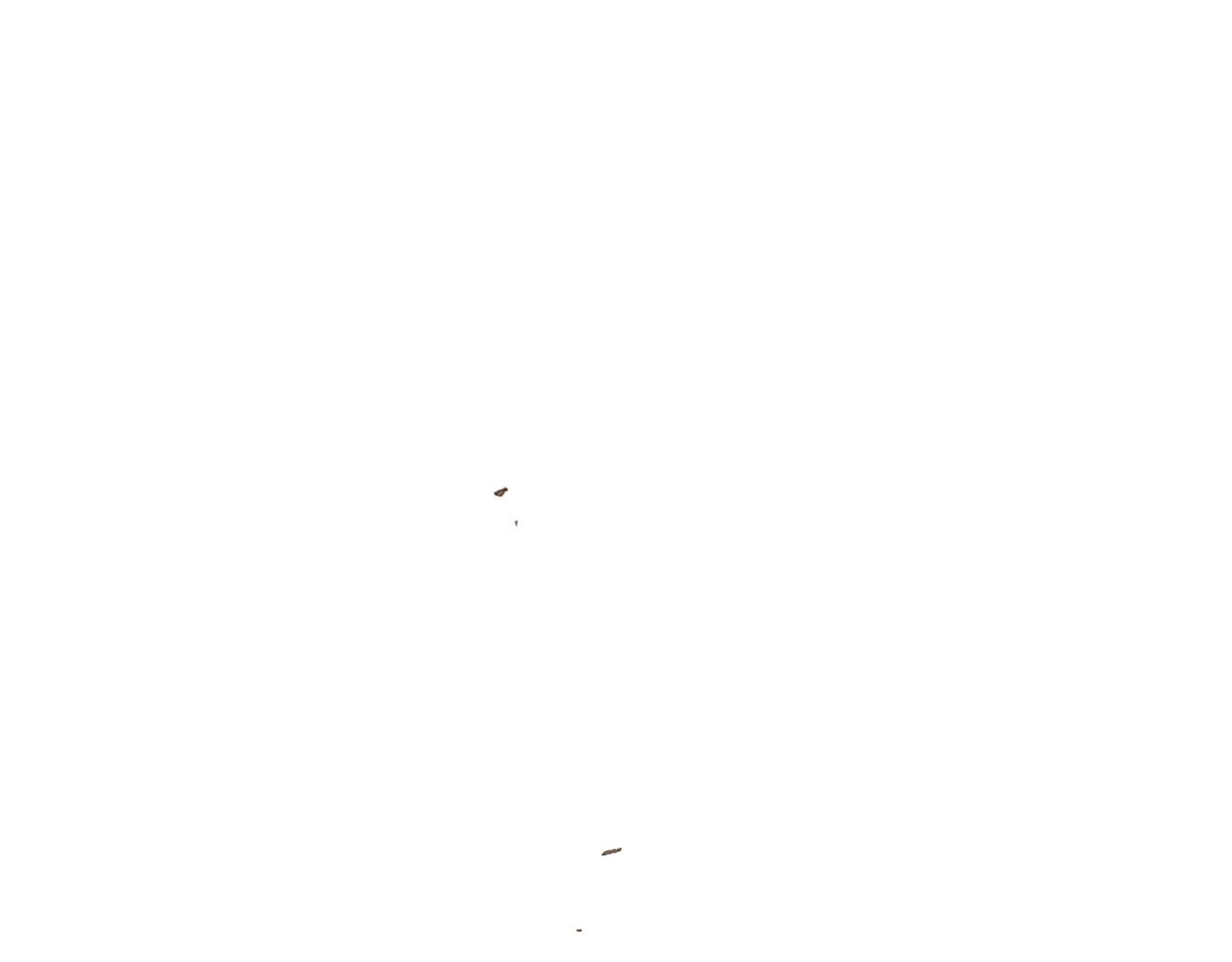 第 138 页