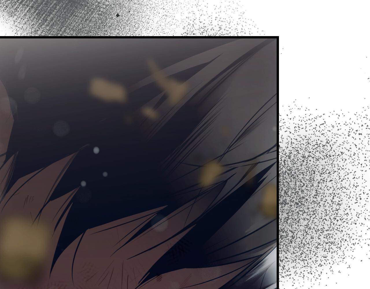 第 205 页