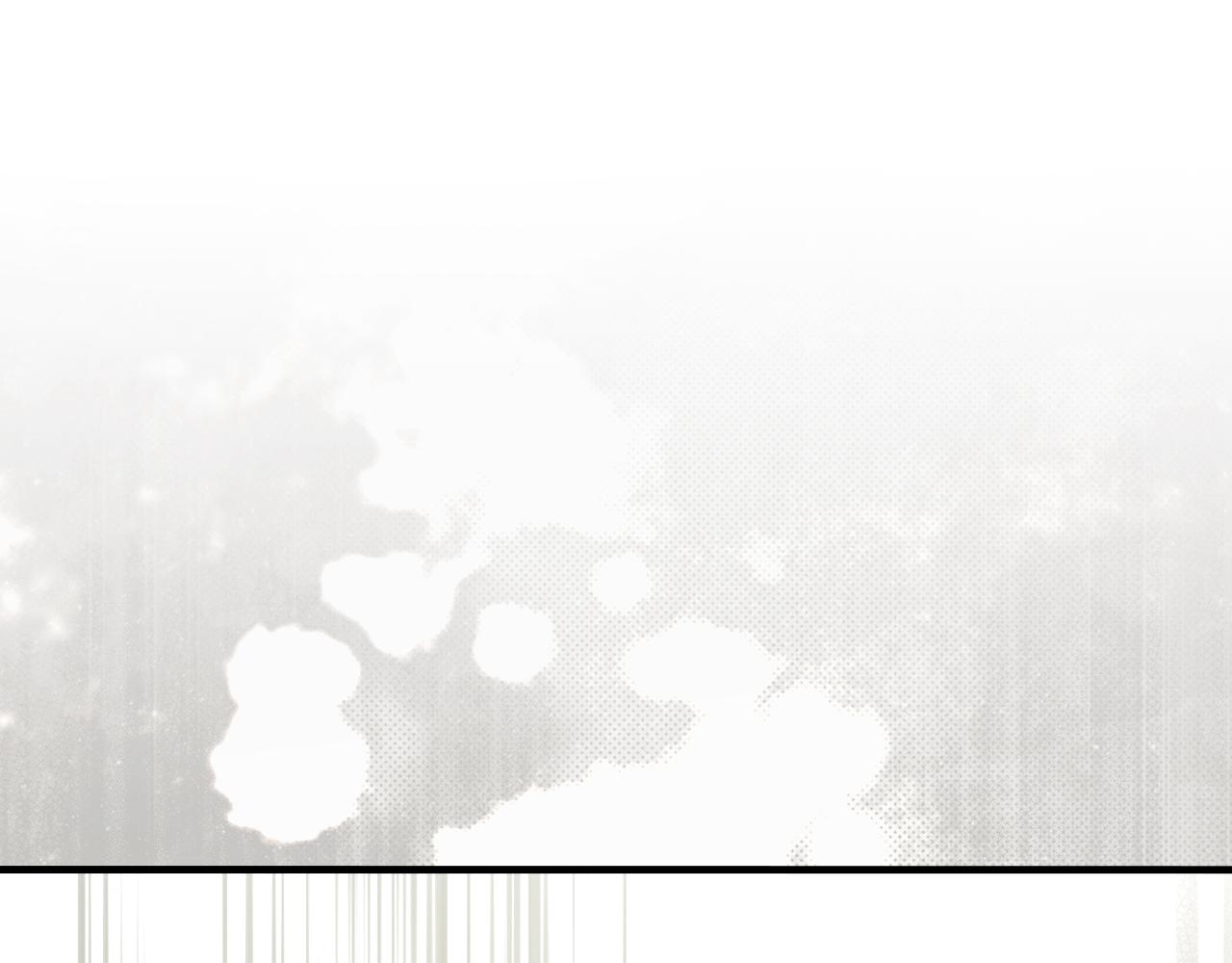 第 238 页