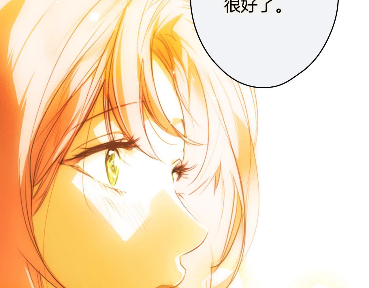 第 204 页