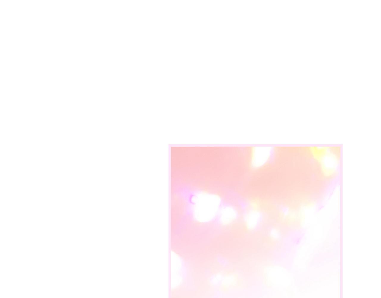 第 248 页
