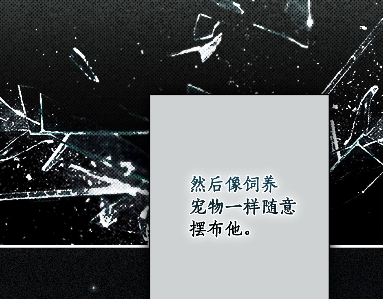 第 91 页