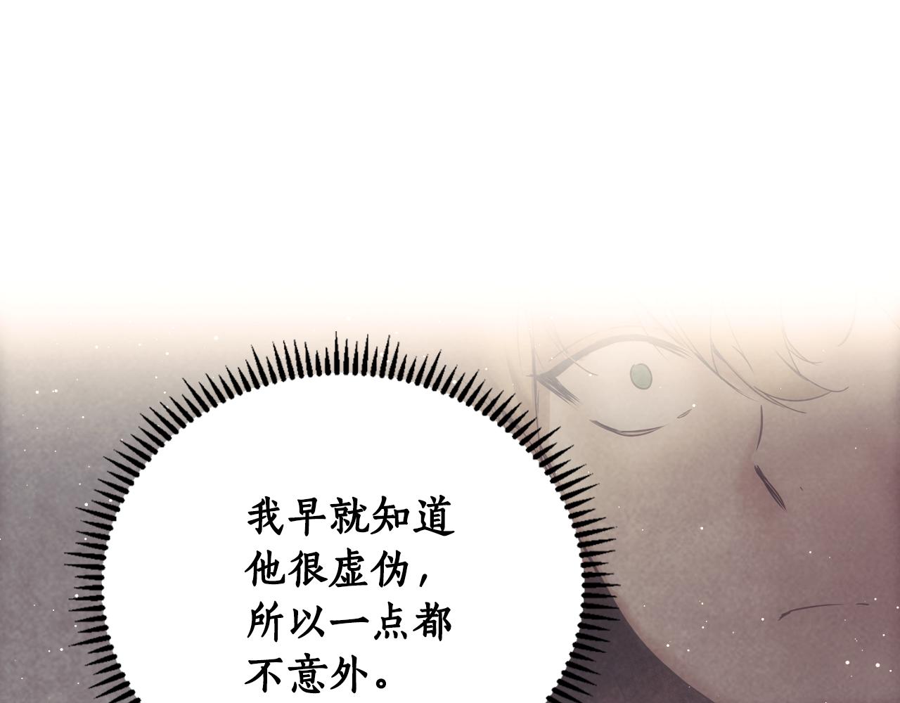 第 113 页