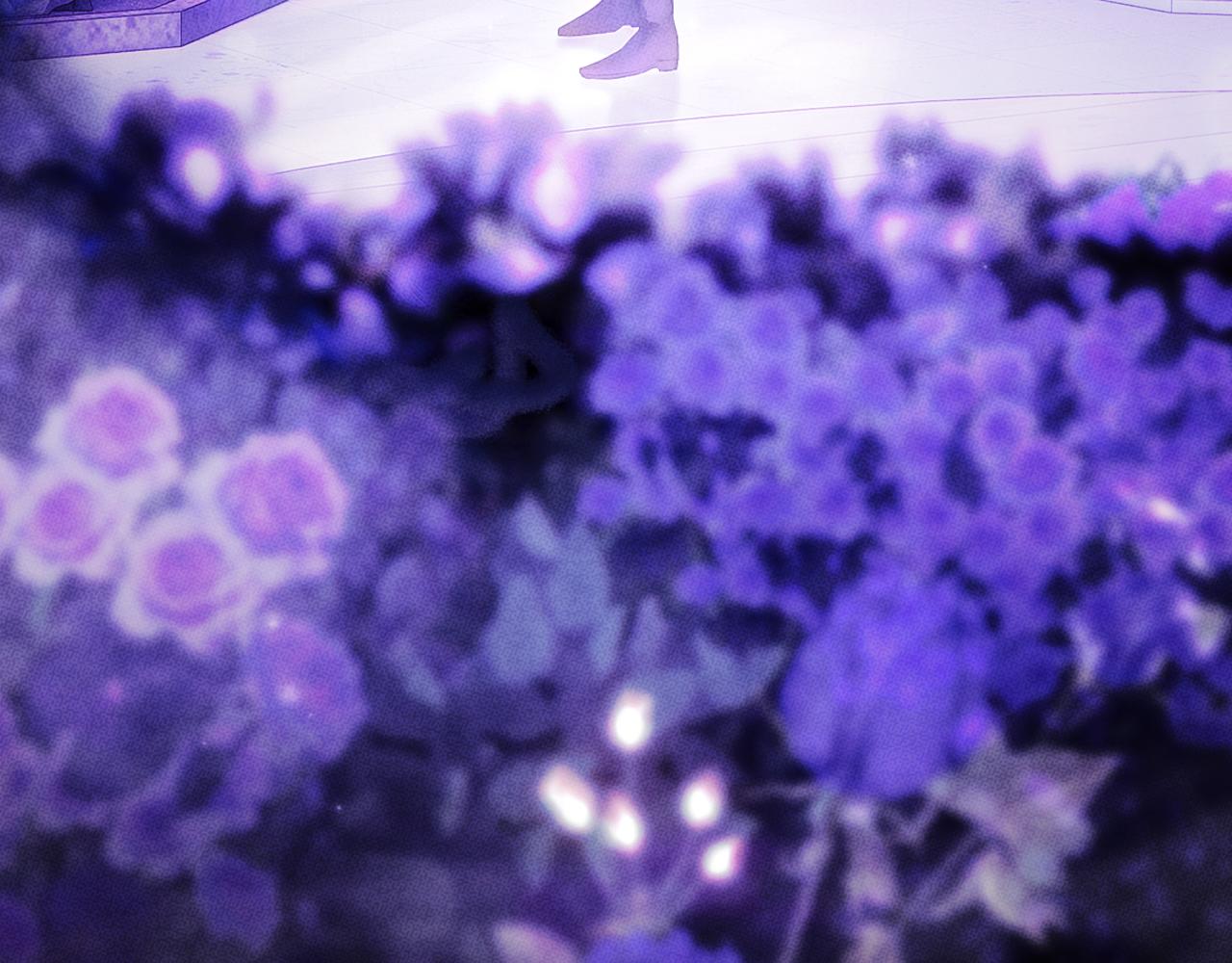 第 141 页