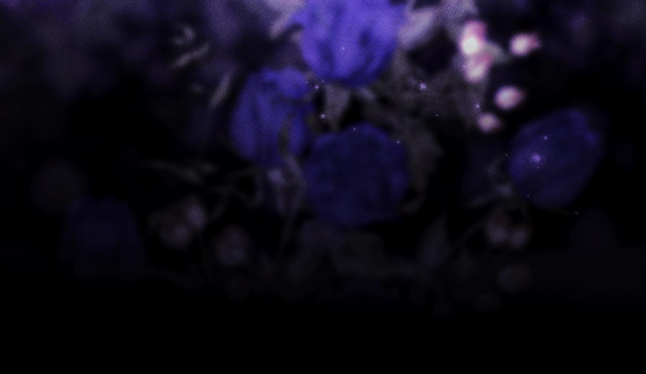 第 142 页