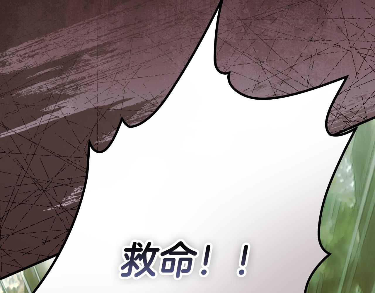 第 117 页