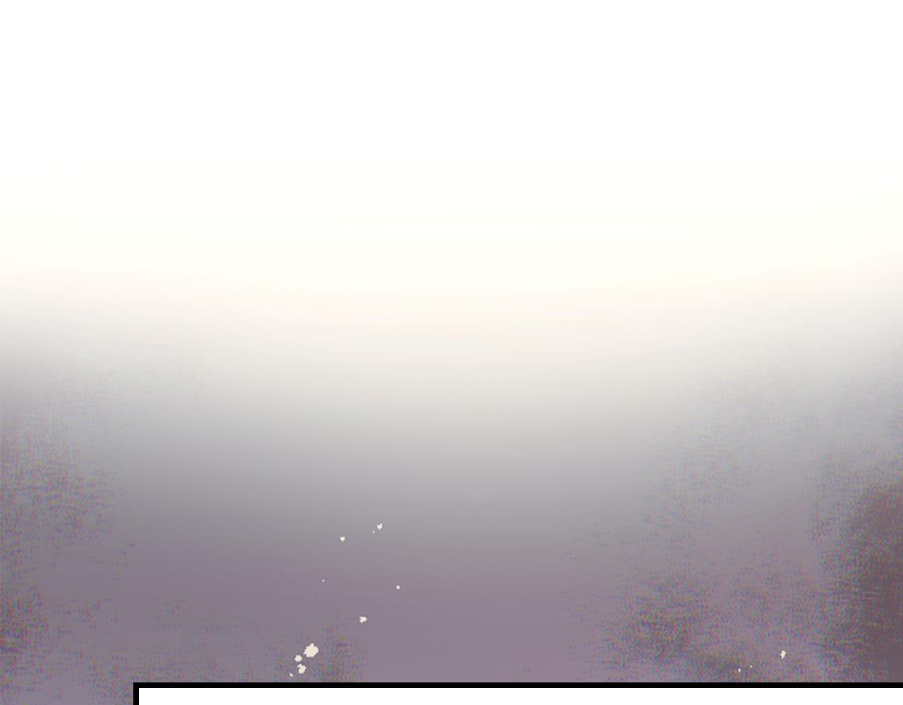 第 216 页