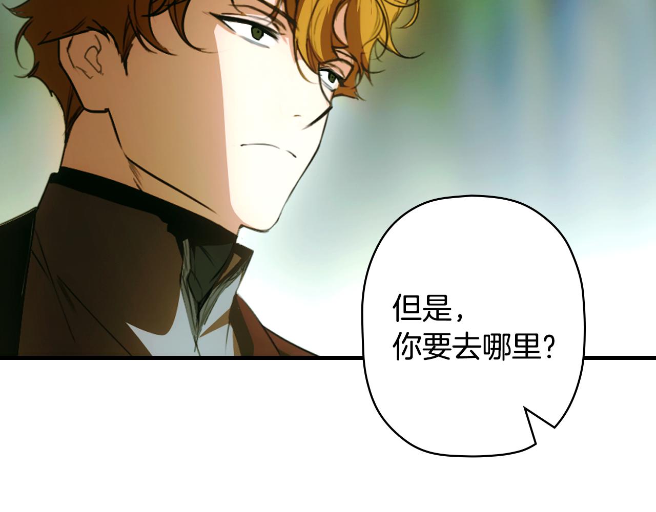 第 243 页
