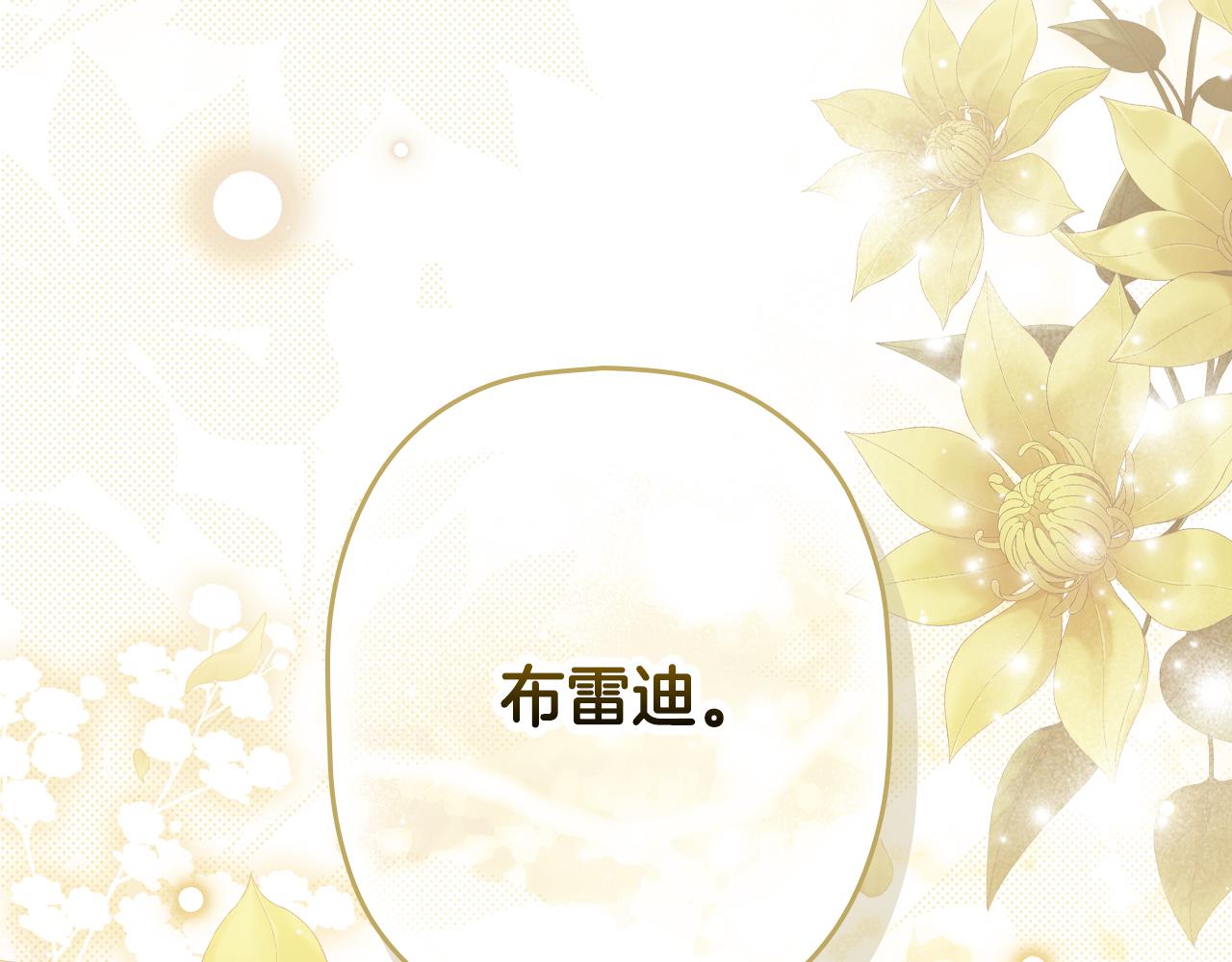 第 246 页